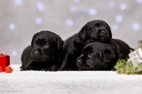 ��������...